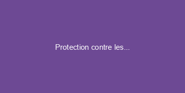 Protection contre les crues de la Garonne 